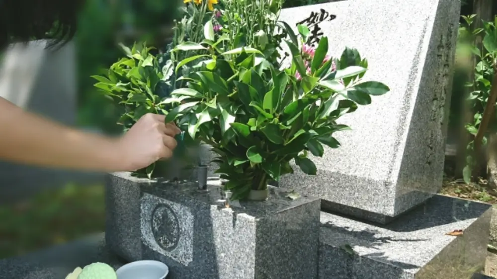 お墓に供える花を手入れする様子