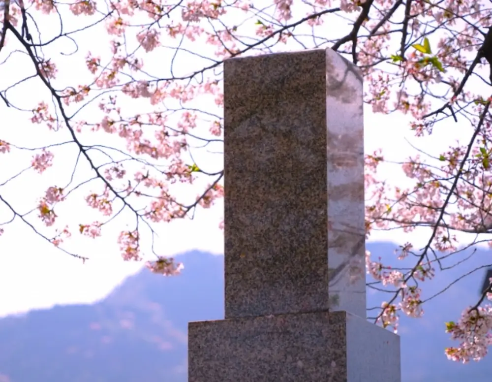 桜の花が咲く中で立つ墓石のアップ写真