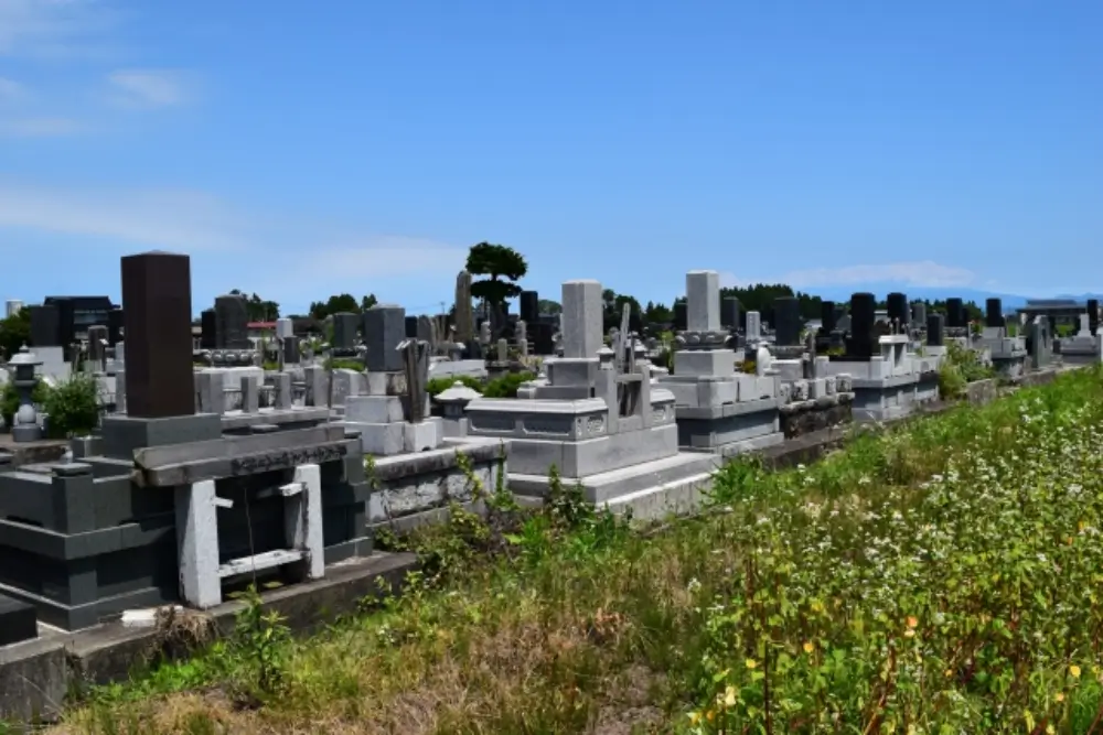 草の生えた道沿いに広がる地方の日本の墓地