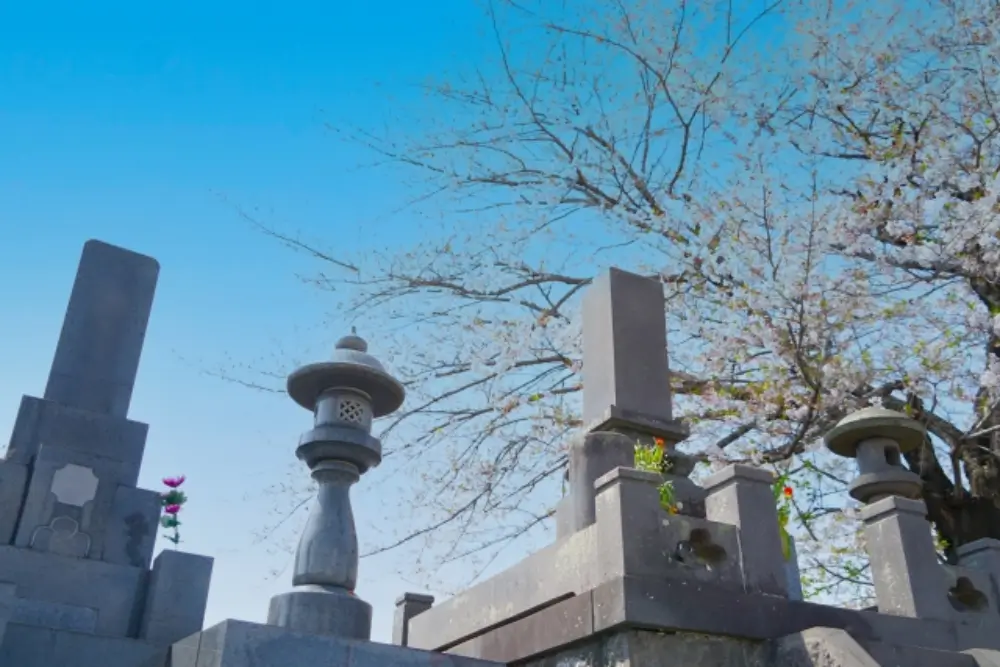 桜の木の下に和型墓石と石灯籠が立ち並ぶ静かな墓地の風景